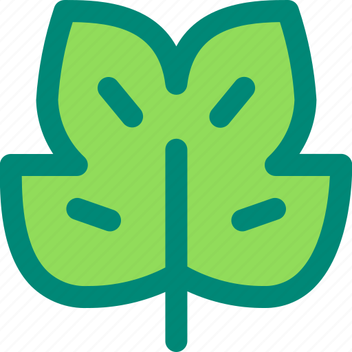 Foliage, leaf, nature, plant, tropical, tulipifera icon - Download on Iconfinder