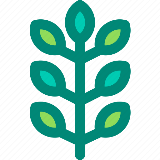 Ash, foliage, leaf, nature, plant, tropical icon - Download on Iconfinder