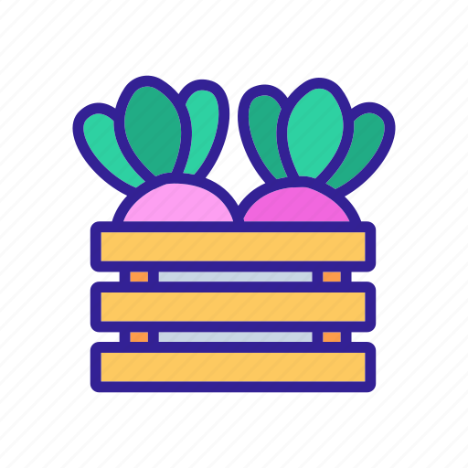 Boiled, box, cut, desk, fried, knife, turnip icon - Download on Iconfinder