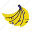 banana, food, fruit, fruit icons, raw food 