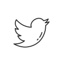 logo, twitter, social media, twitter bird