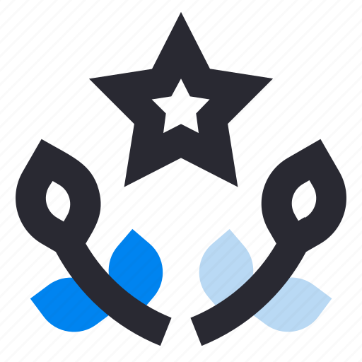 Customer review, feedback, premium, quality, award, star icon - Download on Iconfinder