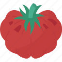 tomato, beefsteak, vegetable, organic, nutrition