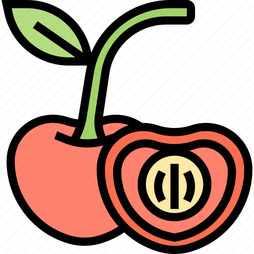 Cherry, fruit, ripe, fresh, harvest icon - Download on Iconfinder