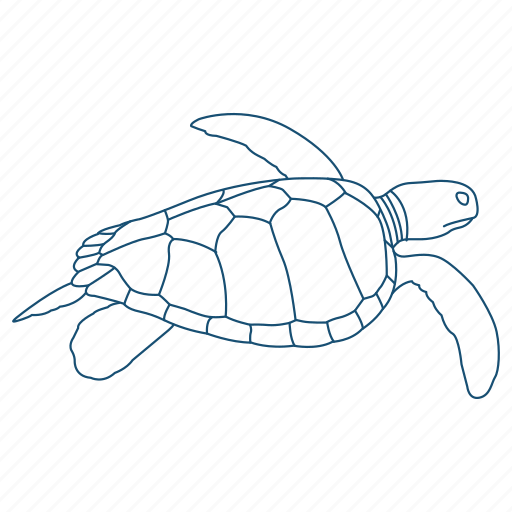 Ocean, sea turtle, shell, water icon - Download on Iconfinder