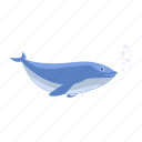 humpback, white side, dolphin, ocean, killer, fin, diving
