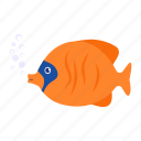 orange zebrasoma, bubble, flavescens, fish, ocean, angelfish, swimming