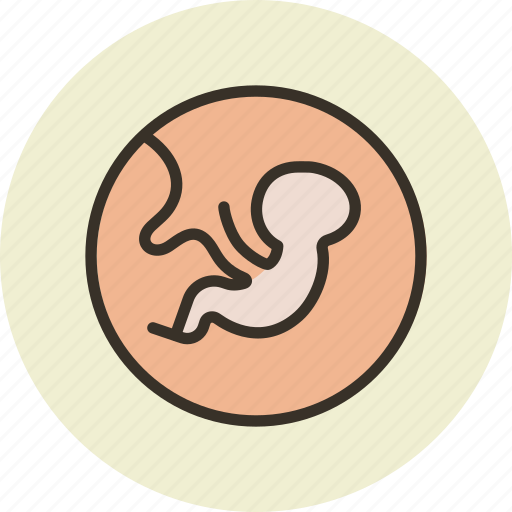 Baby, biology, embryo, medicine icon - Download on Iconfinder