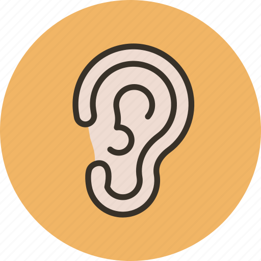 Anatomy, biology, ear, hear, medicine, sound icon - Download on Iconfinder