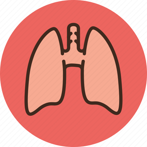 Anatomy, biology, lungs, medicine icon - Download on Iconfinder