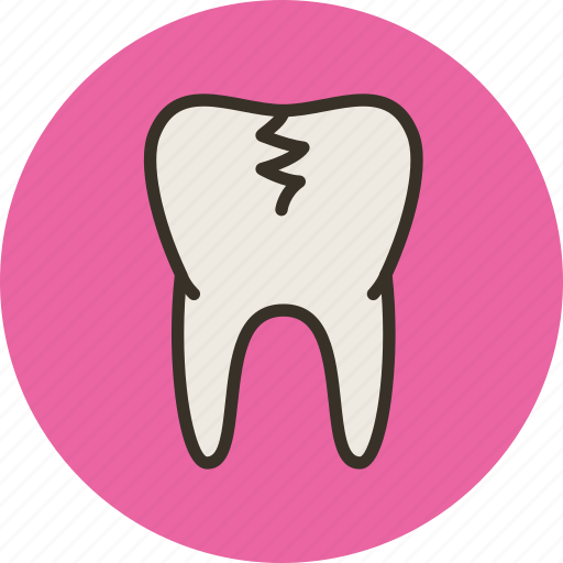 Anatomy, biology, caries, medicine, sick, teeth, tooth icon - Download on Iconfinder