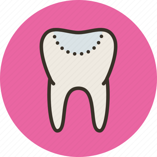 Biology, filling, medicine, tooth icon - Download on Iconfinder