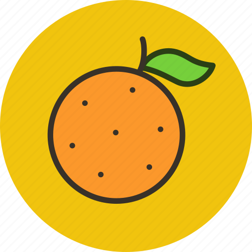 Citrus, food, fruit, orange icon - Download on Iconfinder