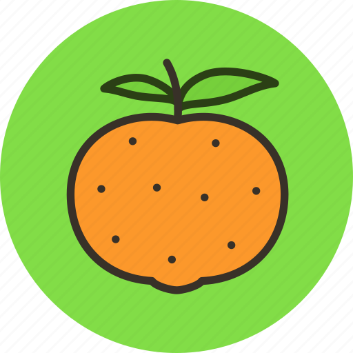 Citrus, food, fruit, mandarine icon - Download on Iconfinder