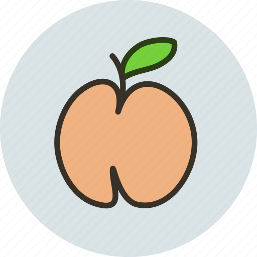 Food, fruit, peach, sweet icon - Download on Iconfinder