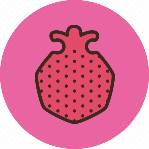 Berry, food, fruit, granate, pomegranate icon - Download on Iconfinder