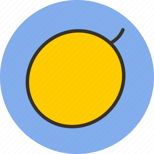 Berry, food, fruit, melon icon - Download on Iconfinder