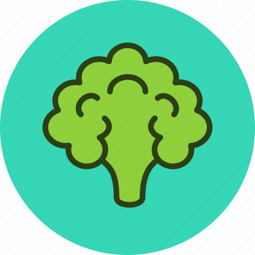 Cauliflower, food, vegetable, cooking icon - Download on Iconfinder