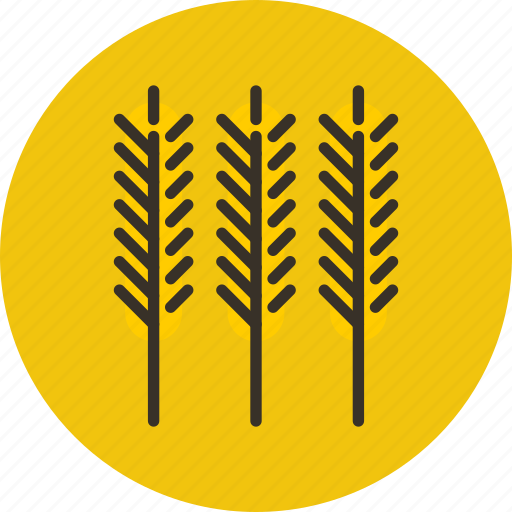 Cereal, food, plant, wheat icon - Download on Iconfinder