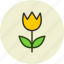flower, nature, present, tulip 