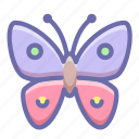 animal, butterfly 