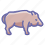 animal, boar, pig 