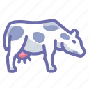 cow, farm