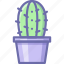 cactus, pot 