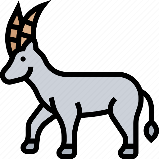 Oryx, wildlife, animal, desert, nature icon - Download on Iconfinder
