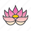 flower, lotus, plant, spa 