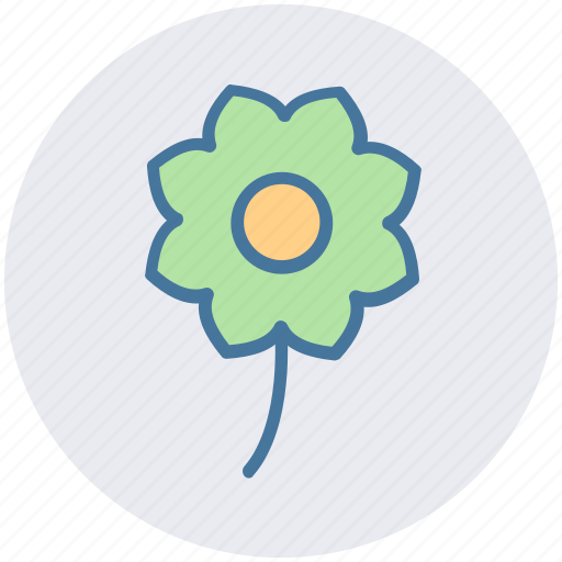 Chamomile, flower, leaves, nature, plant icon - Download on Iconfinder
