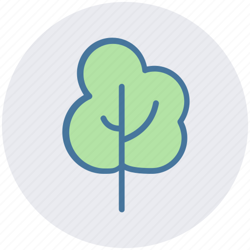 Arbor, eco, ecology, nature, summer, tree icon - Download on Iconfinder