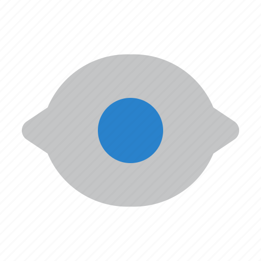 Apps, eye, interface, visible, watch, website, sight icon - Download on Iconfinder