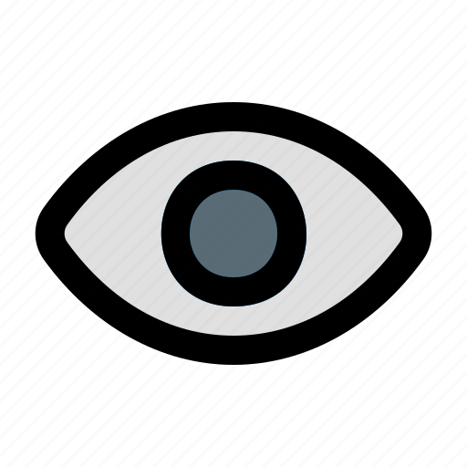 Eye, hidden, hide, hiding, not visible, secret, visibility icon - Download on Iconfinder
