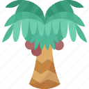 palm, tree, beach, vacation, tropical