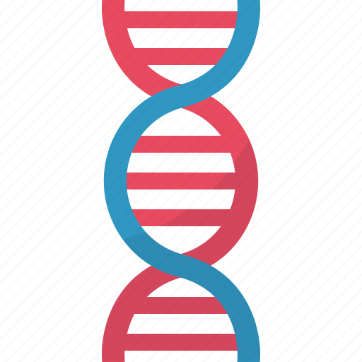 Dna, chromosome, research, gene, helix, structure, genetic icon - Download on Iconfinder