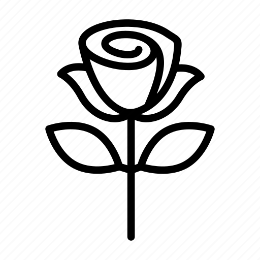 Gift, love, romance, romantic, rose, valentine, valentine day icon - Download on Iconfinder