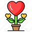 heart, plant, love, growth, romantic, valentine, potted 