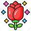 rose, flower, natural, fragrance, blossom, love, romance 