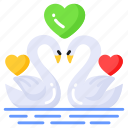swans, couple, birds, romantic, love, heart, flamingo