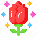 rose, flower, natural, fragrance, blossom, love, romance