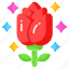 rose, flower, natural, fragrance, blossom, love, romance 