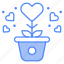 plant, growth, heart, pot, love 