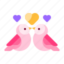 bird, love, heart, valentine day, owl