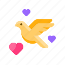 dove, bird, heart, love, valentine day