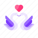 swan, love, heart, valentine day, romance