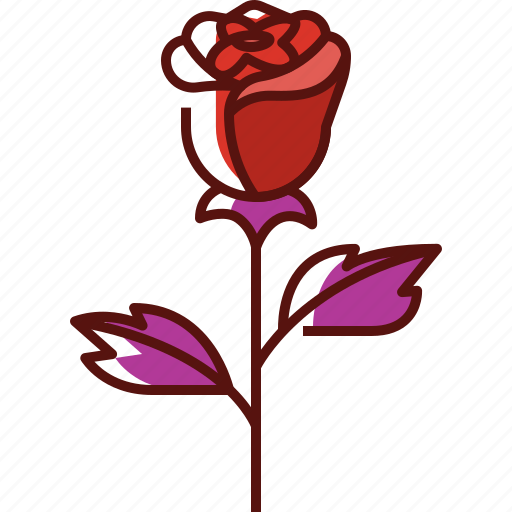 Rose, flower, love, valentine, beautiful, red rose, floral icon - Download on Iconfinder