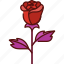 rose, flower, love, valentine, beautiful, red rose, floral 