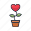 heart, plant, love, valentine, nature 