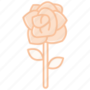 rose, flower, love, nature, valentine, background, floral, romantic, plant